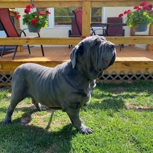 Meet your Posher, Jerome